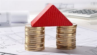 房產(chǎn)經(jīng)紀(jì)人服務(wù)欠透明，十位借款人陷入財務(wù)困境